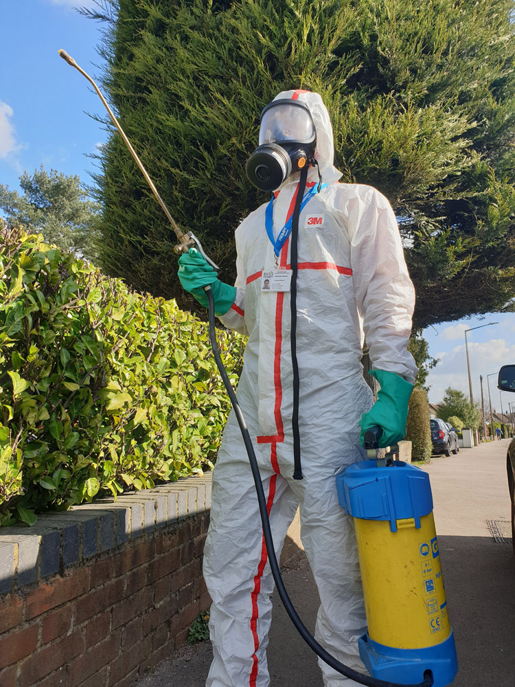 Ant Control Harrow Kingsbury Bait Pest Control