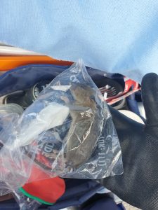 Mice Rat Eradication Bait Pest Control North London